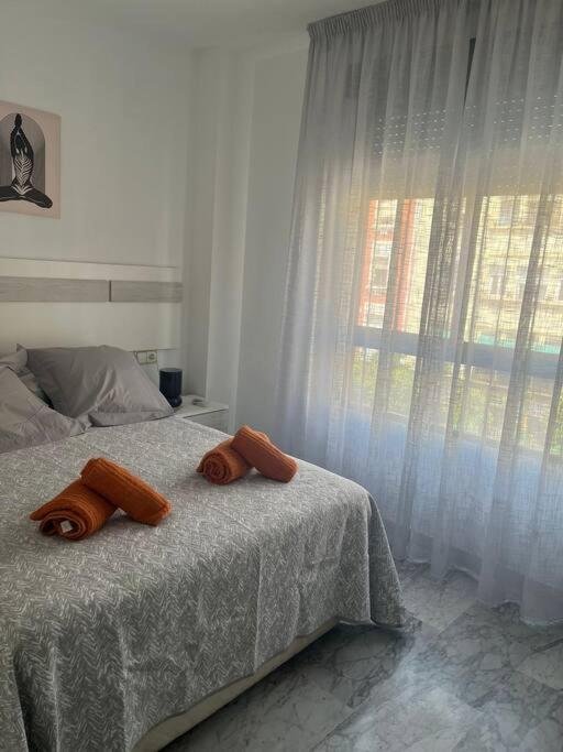 Medina Azahara Apartment *